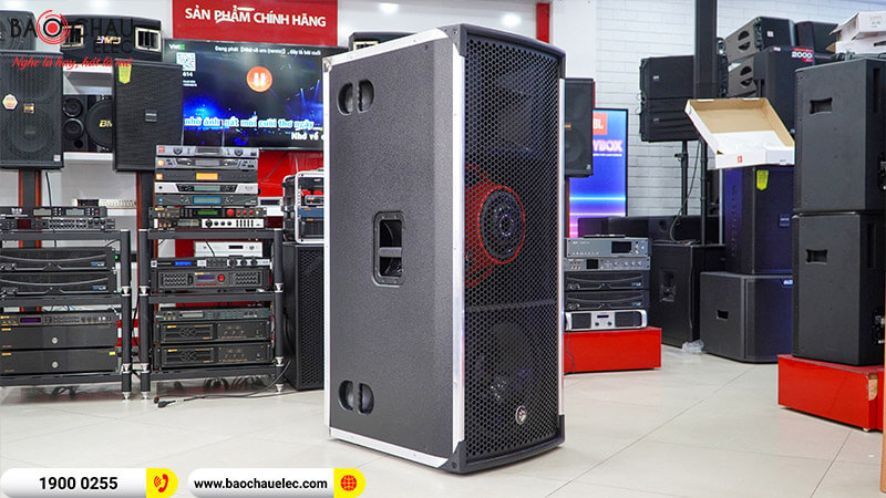 Loa hội trường - sân khấu CatKing Pro 2.5+