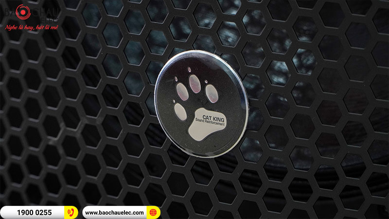 Loa hội trường - sân khấu CatKing Pro 2.5+