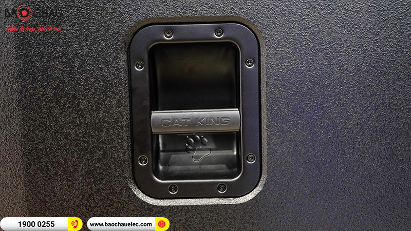 Loa hội trường - sân khấu CatKing Pro 2.5+