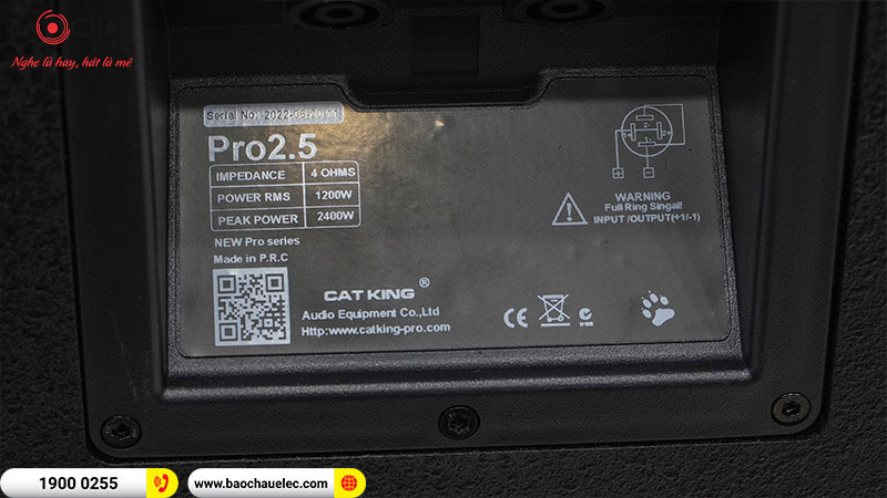 Loa hội trường - sân khấu CatKing Pro 2.5+