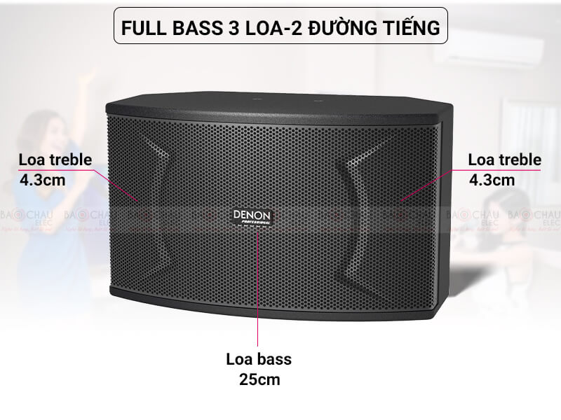 Loa karaoke Denon DP-C10