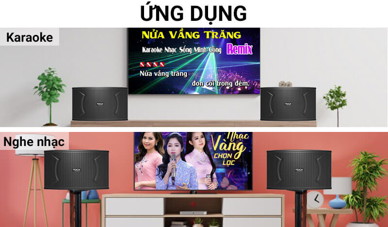 Loa karaoke Denon DP-C10