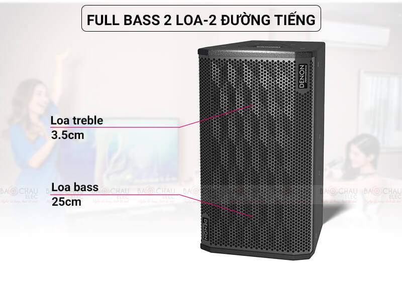 Loa karaoke Denon DP-R310