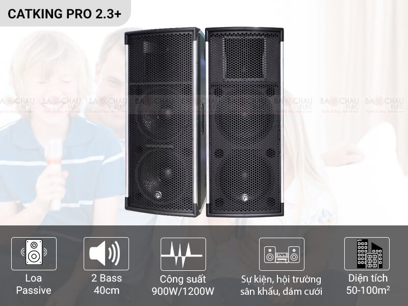 Loa hội trường - sân khấu CatKing Pro 2.3+
