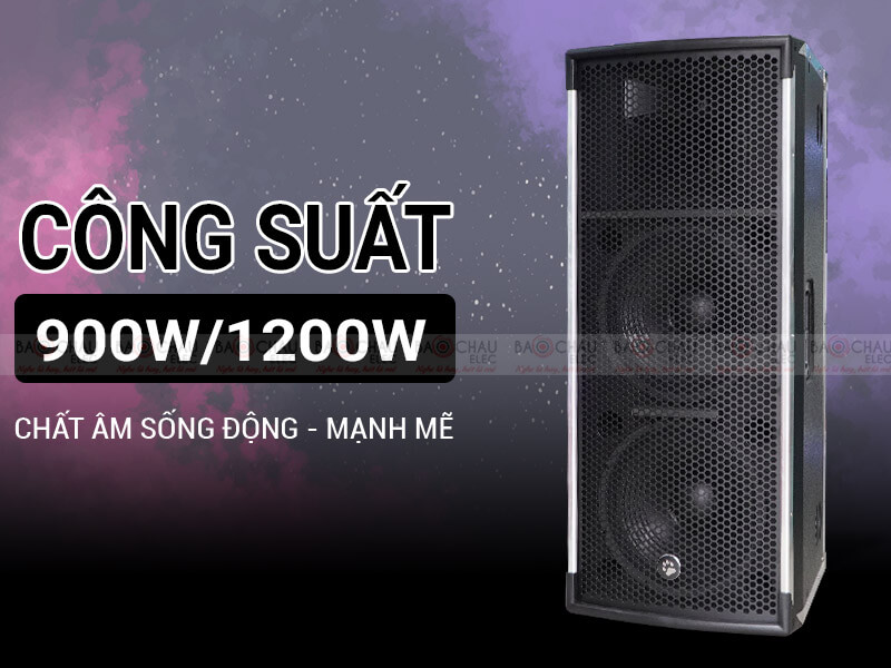 Loa hội trường - sân khấu CatKing Pro 2.3+