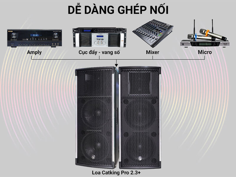 Loa hội trường - sân khấu CatKing Pro 2.3+