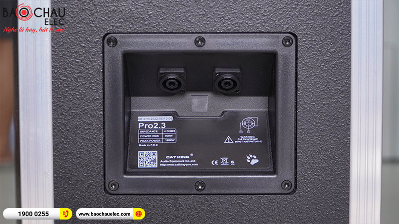 Loa hội trường - sân khấu CatKing Pro 2.3+