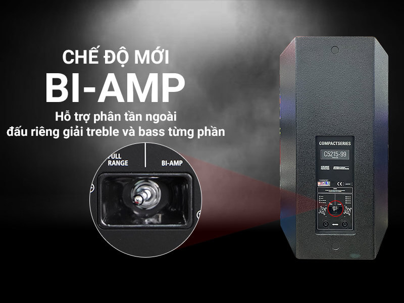 Loa RCF Acustica C 5215-99