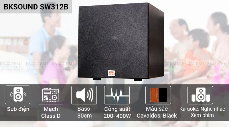 Loa sub BKSound SW312