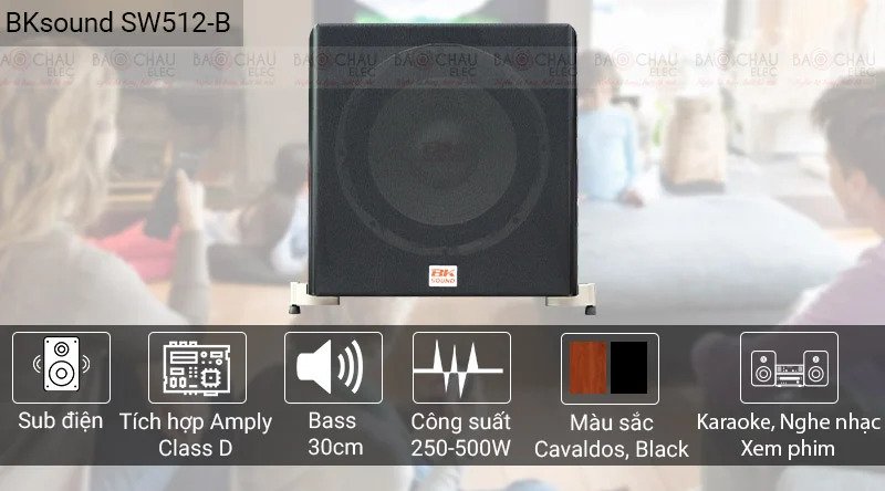 Loa sub BKSound SW512