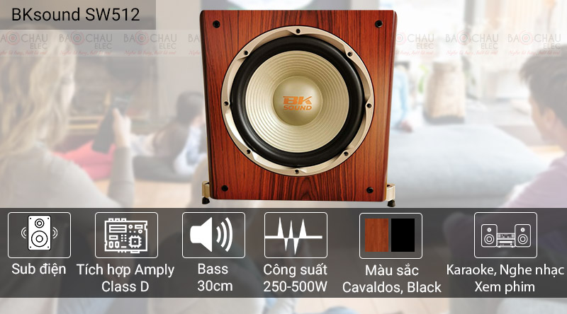 Loa sub điện BKSound SW512C