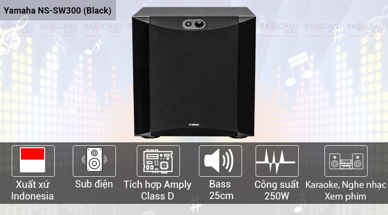 Loa sub Yamaha NS-SW300