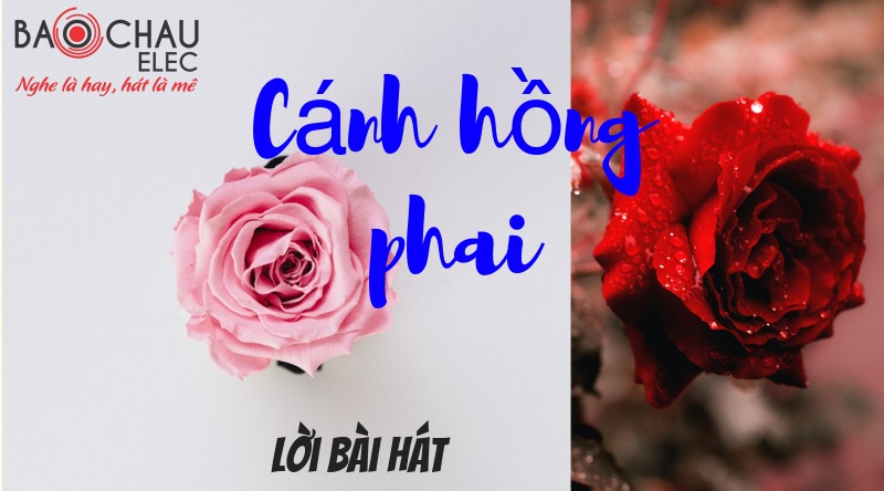 loi bai hat canh hong phai