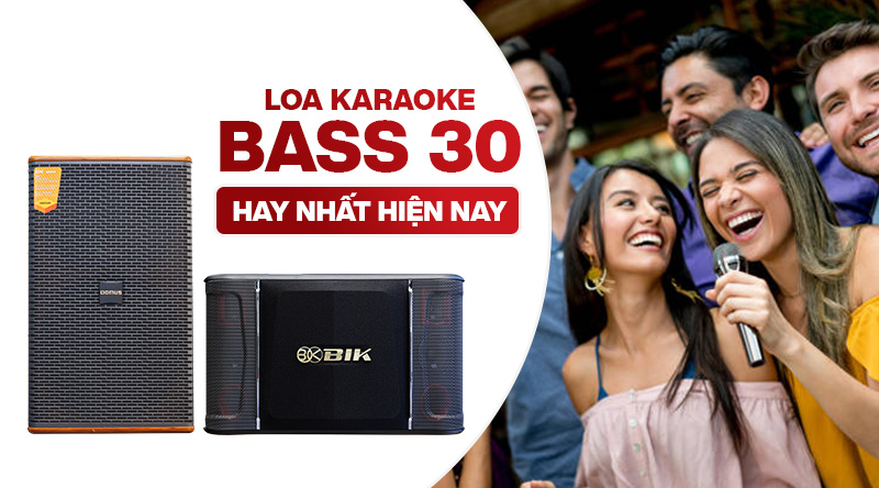 loa karaoke bass 30 hay nhất