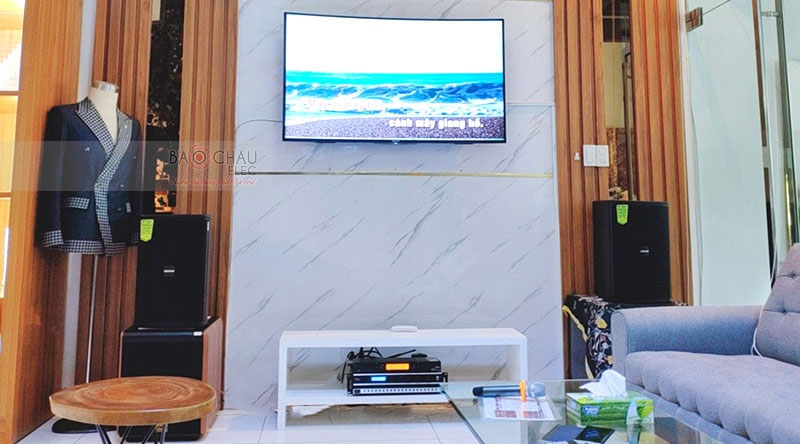 Loa Karaoke Domus DP6100