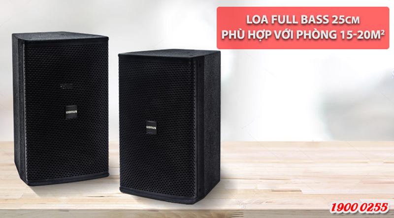 Loa karaoke Domus DP 6100