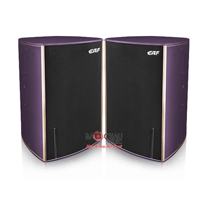 Loa CAF CC10 (Full đơn bass 25cm)