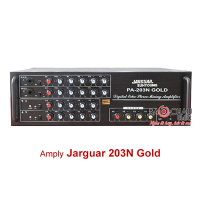 Amply Karaoke Jarguar Suhyoung 2 kênh PA-203N Gold