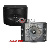 Loa Karaoke AAD KM10