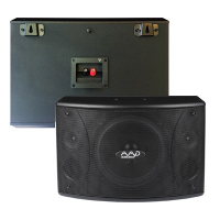 Loa Karaoke AAD PK-510