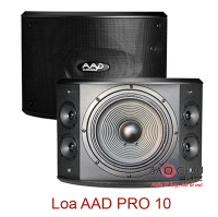 Loa AAD PRO 10