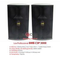 Loa Karaoke BMB CSP-3000 (full bass 25cm)