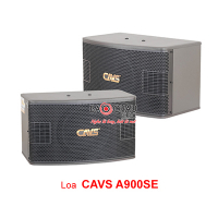 Loa Karaoke CAVS A900 SE (bass 25cm)