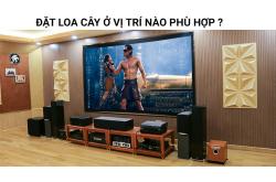 Loa cây nên đặt ở vị trí như thế nào là phù hợp