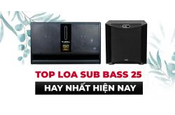 Loa sub bass 25 nào hay nhất hiện nay?