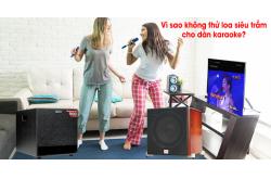 Vì sao bạn không thử loa siêu trầm cho dàn karaoke nhà mình?