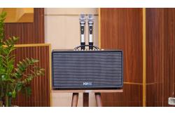 Cách chỉnh loa Acnos FLAC 36 chi tiết từ A–Z: Chuẩn âm thanh, hay giọng hát