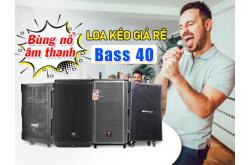 Bảo Châu Elec chuyên phân phối loa kéo bass 40 giá rẻ, chính hãng