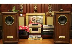 Những vấn đề phổ biến khi sử dụng loa tannoy cần biết