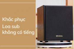 Loa sub không có tiếng: Nguyên nhân và cách khắc phục