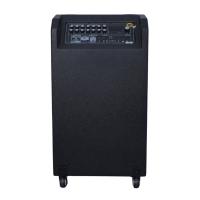 Loa kéo Arirang MK1 Max