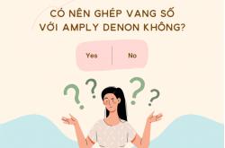 Có nên ghép vang số với amply Denon không?
