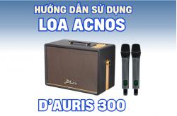 Hướng dẫn sử dụng loa Acnos D Auris 300 đầy đủ, dễ hiểu nhất