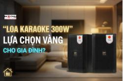 Loa Karaoke Công Suất 300W Có Phải Lựa Chọn Vàng Cho Gia Đình?
