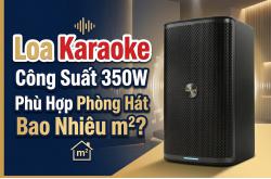 Loa Karaoke Công Suất 350W Phù Hợp Phòng Hát Bao Nhiêu m²?