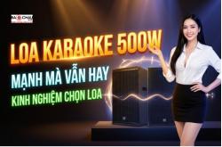 Loa Karaoke Công Suất 500W: Kinh Nghiệm Chọn Loa Mạnh Mà Vẫn Hay