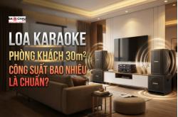 Loa Karaoke Phòng Khách 30m2 Công Suất Bao Nhiêu Là Chuẩn?