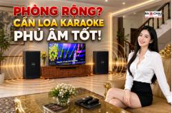 Vì Sao Phòng Rộng Cần Loa Karaoke Có Độ Phủ Âm Tốt?