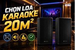 Kinh Nghiệm Chọn Loa Karaoke Cho Quán Phòng 20m2 Tối Ưu Chi Phí