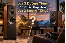 Loa 3 Đường Tiếng Có Chắc Hay Hơn Loa 2 Đường Tiếng?
