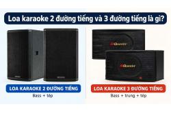  Loa karaoke 2 đường tiếng và 3 đường tiếng là gì?