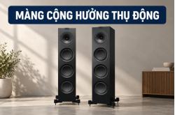 Màng cộng hưởng thụ động là gì? Phân biệt với củ loa bass và cổng thoát hơi