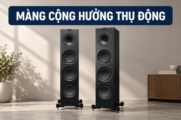 Màng cộng hưởng thụ động là gì? Phân biệt với củ loa bass và...