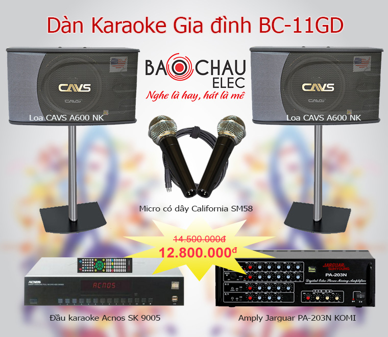 Bo dan karaoke BC-11GD Bo dan karaoke BC-11GD