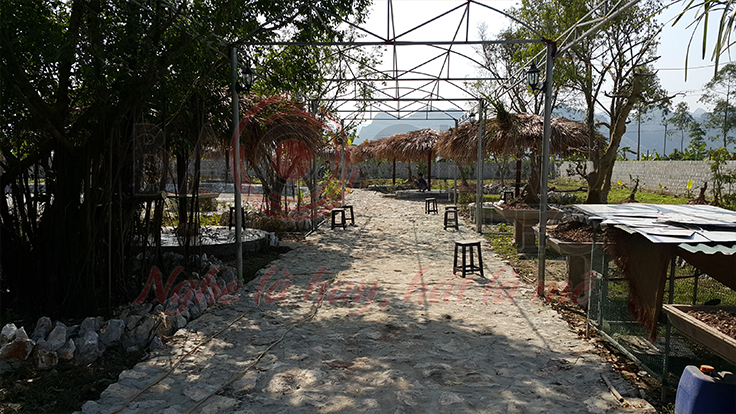 Khu vui choi giai tri anh Tung - pic 01