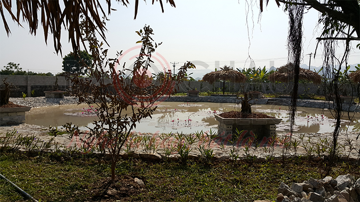 Khu vui choi giai tri anh Tung - pic 02